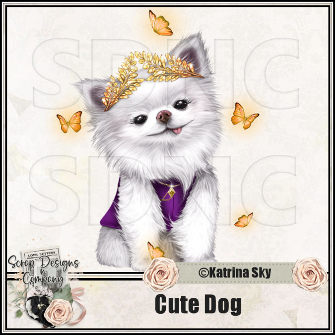 (image for) Cute Dog